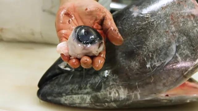 鍥藉榛戞殫缇庨鏂欑悊,鍥藉10閬撲护浜哄穿婧冪殑榛戞殫鏂欑悊