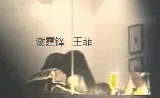 谢霆锋王菲情史回顾,谢霆锋王菲感情稳定