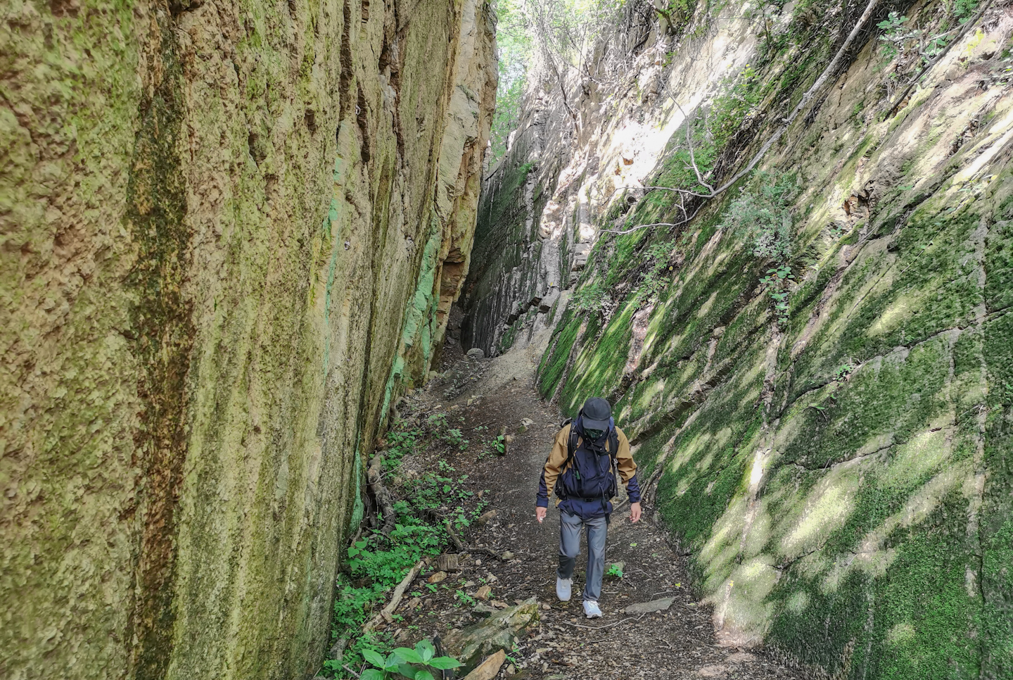 背包小鹰osprey,小鹰魔爪26背包功能详解