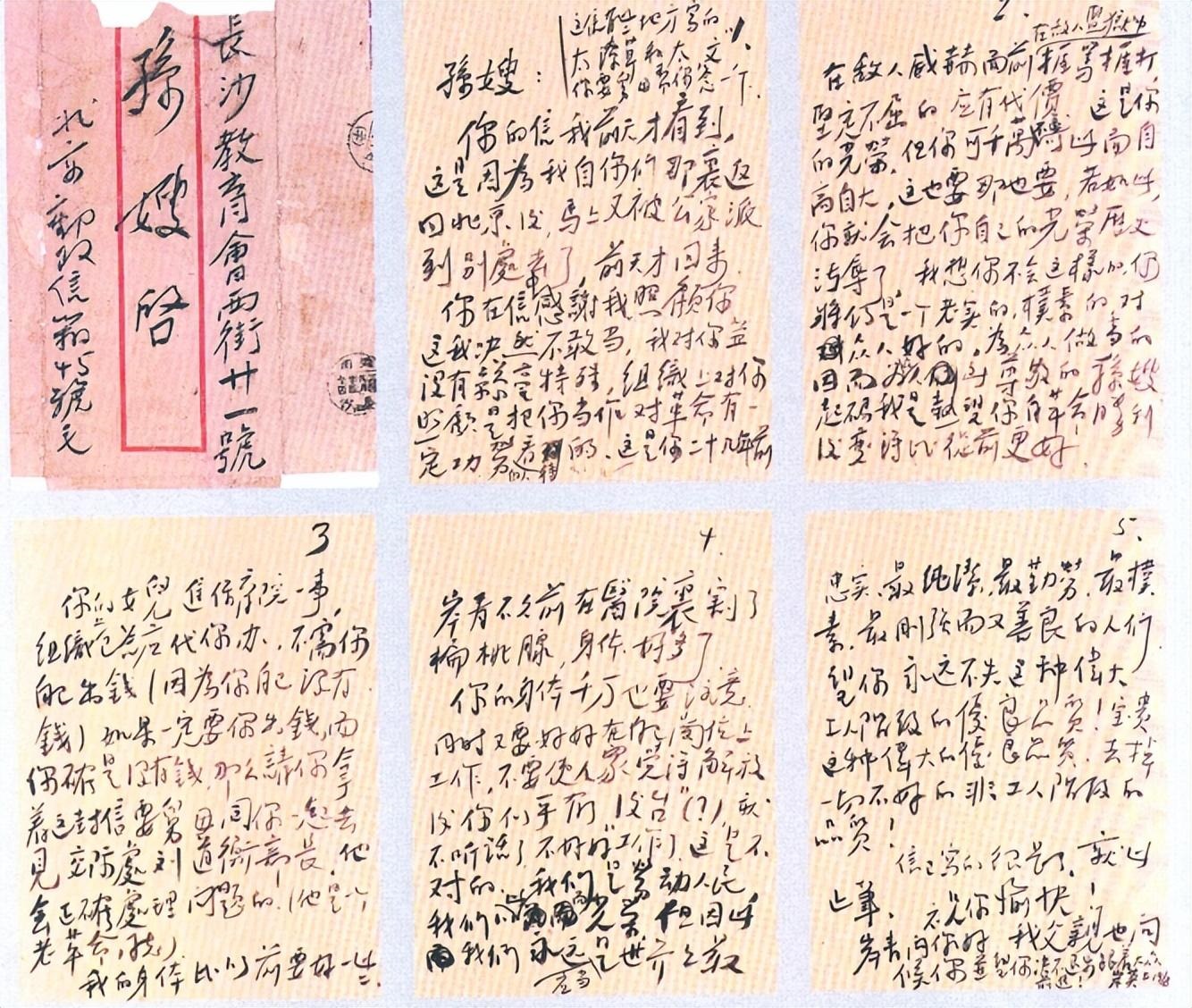 陈乔年、毛岸英亲自书写的履历表,硬笔字迹超一流,透着豪迈之气