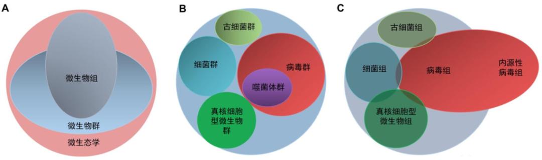 周敏教授：慢阻肺病、支扩及慢阻肺支扩重叠综合征气道微生物研究