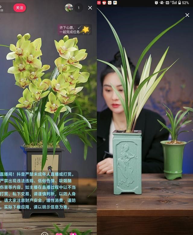 绿植直播间教程,绿植直播间有几种玩法