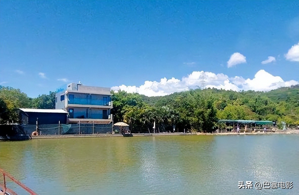 目前郑伊健靠什么生活,郑伊健低调笑谈婚后生活