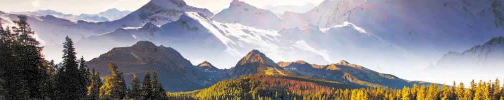 存钱1年期还是三年期好,一年期存款好还是三年期存款好