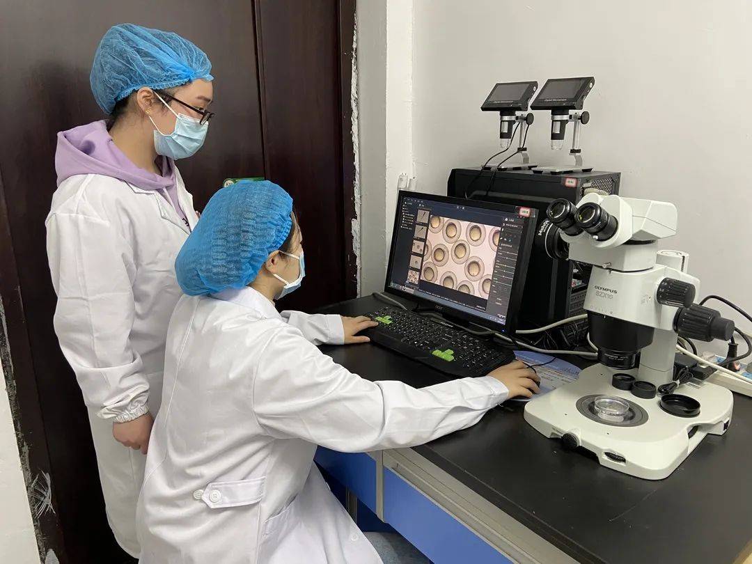 进入女性体内后，没“受精”成功的精子到哪儿去了？既好笑又心疼