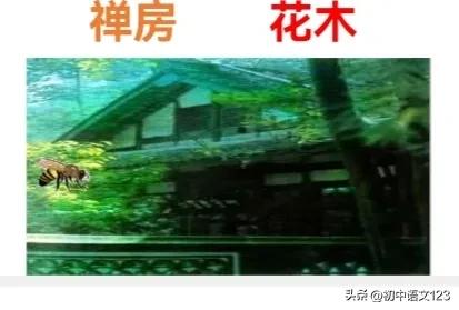 “三步走”法，赏析诗歌中的“以动写静（动静结合、以动衬静）”