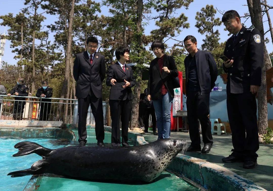 野生动物保护公益诉讼典型案例,检察院助力生态环境保护公益诉讼