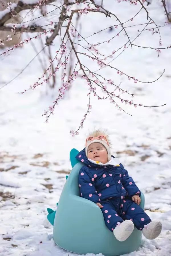 春雪初霁,春雪初霁杏花正芳月上夜吟