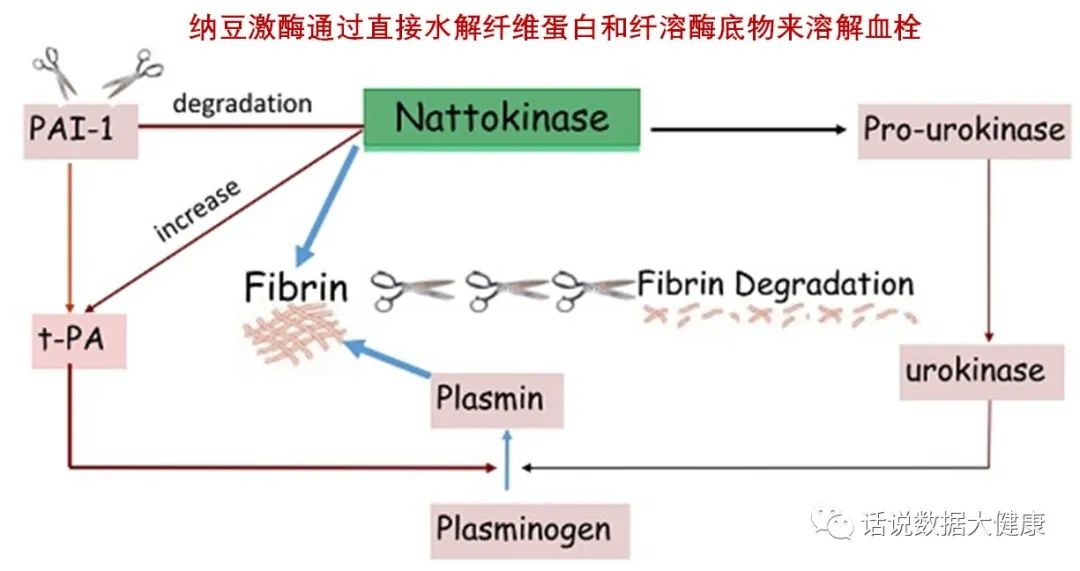纳豆能预防心脑血管病吗,纳豆胶囊对于心血管狭窄有效吗