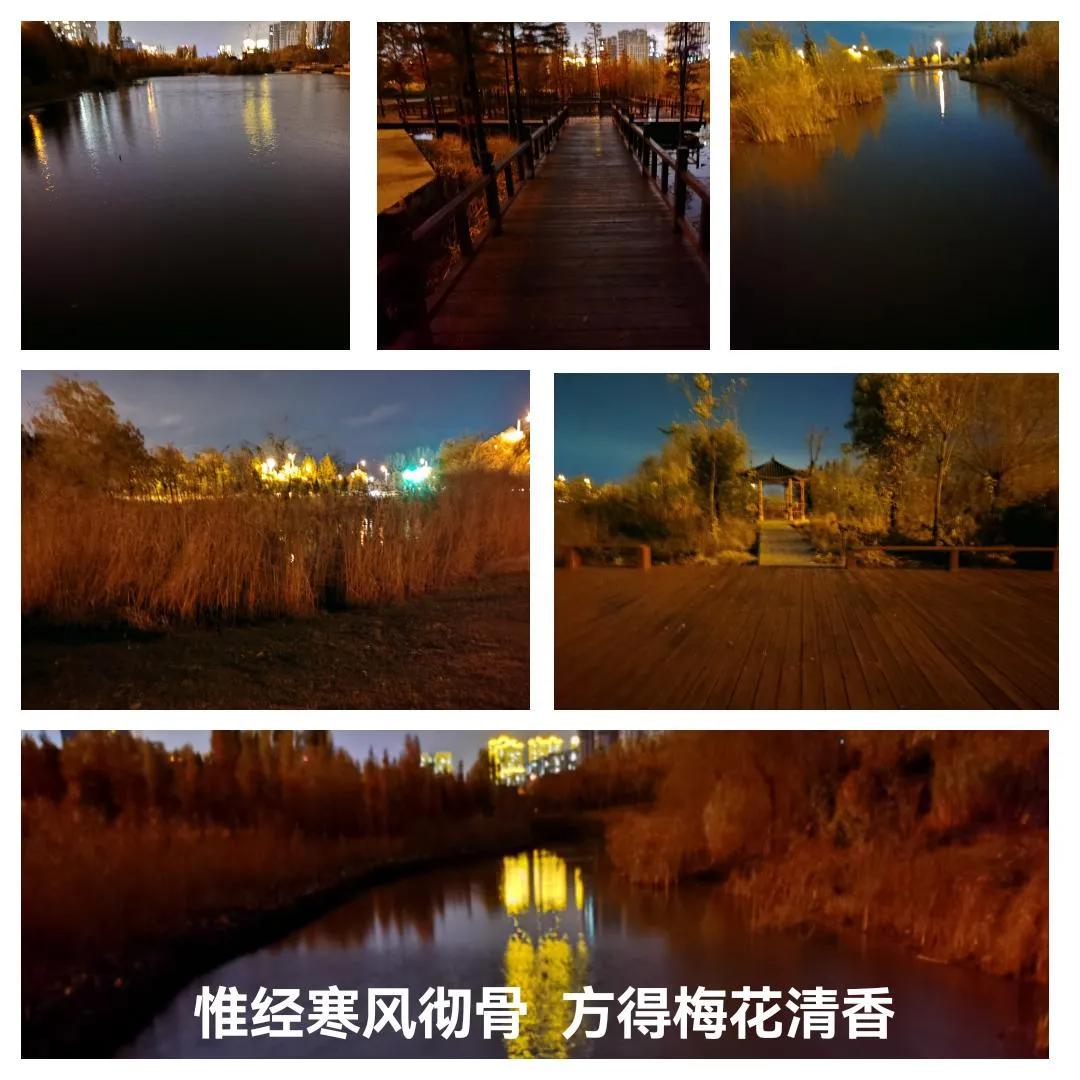 静谧的夜晚视频,静谧的夜晚文案