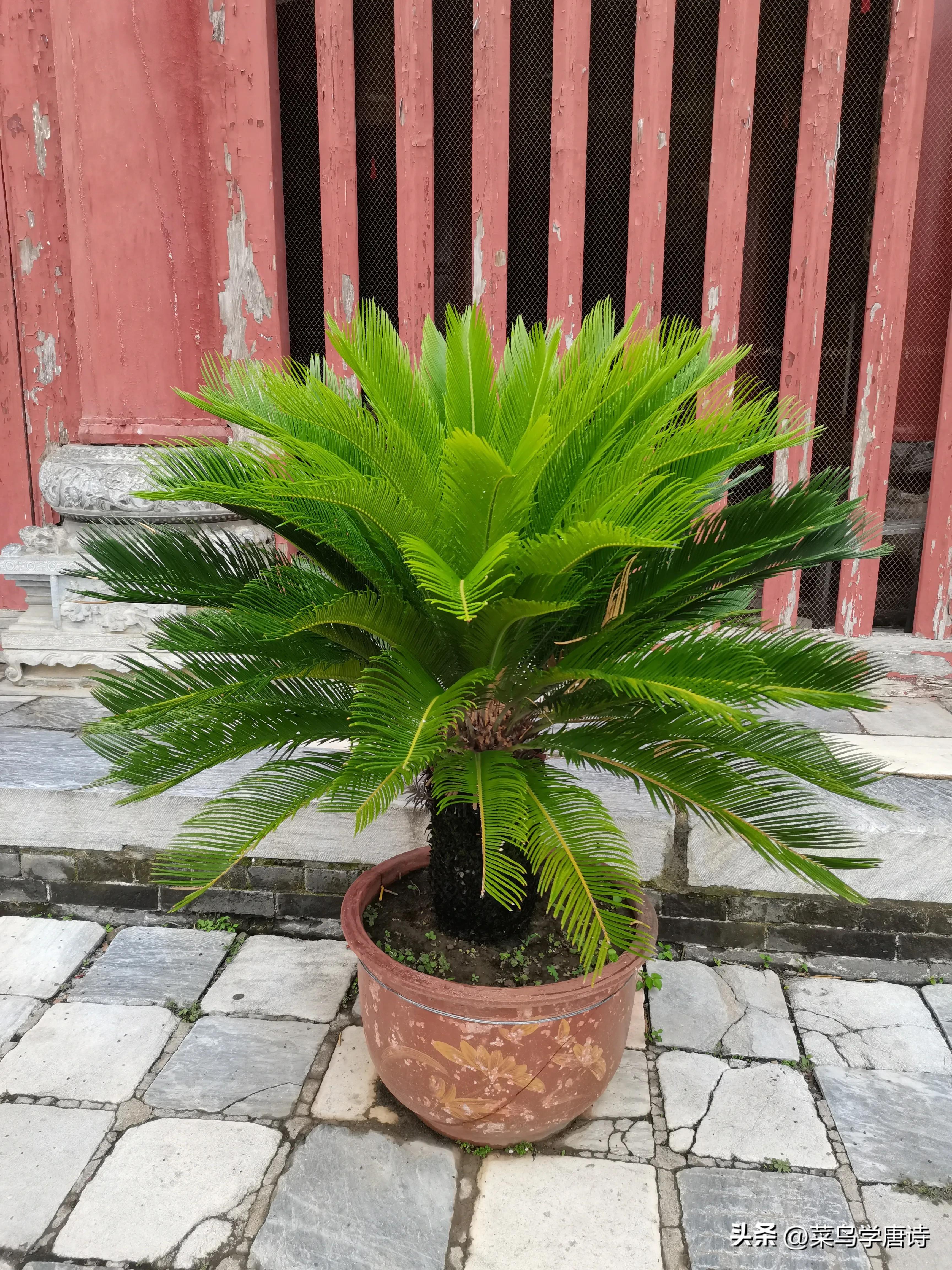 天下第一会馆故宫,最震撼的天下第一关