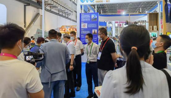 海南自贸港与香港定位的区别,海南自贸港有哪些机遇