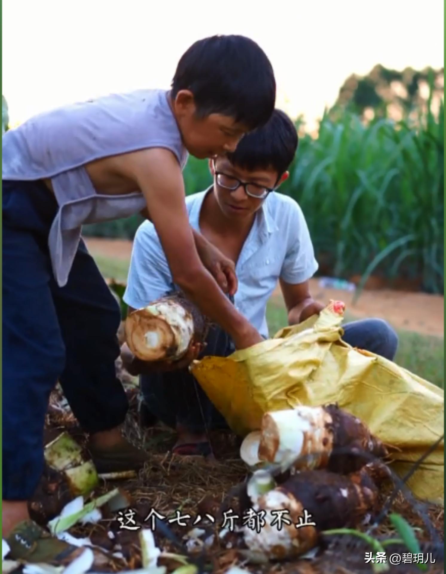 康仔农人和老小孩的最新视频,康仔和老小孩的抖音视频人间城