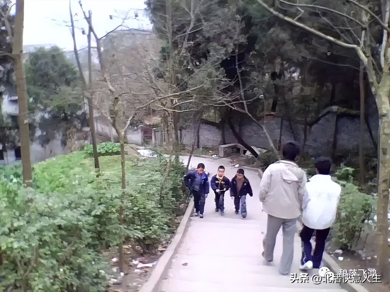 四十九日祭,四十九日祭剧情