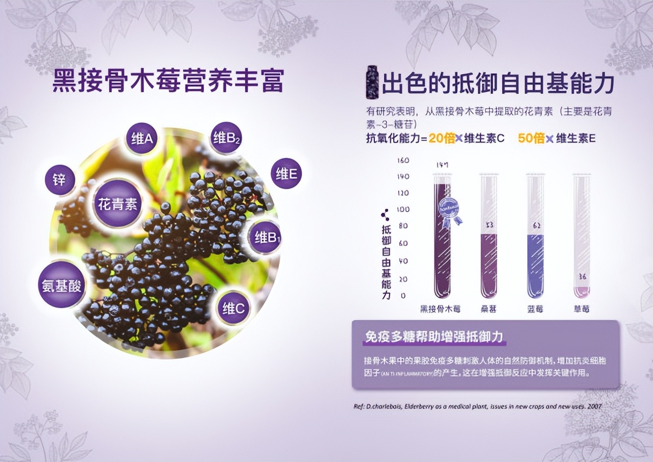 免疫力是身体最好的保护,Sambucol善倍康时刻守护免疫健康