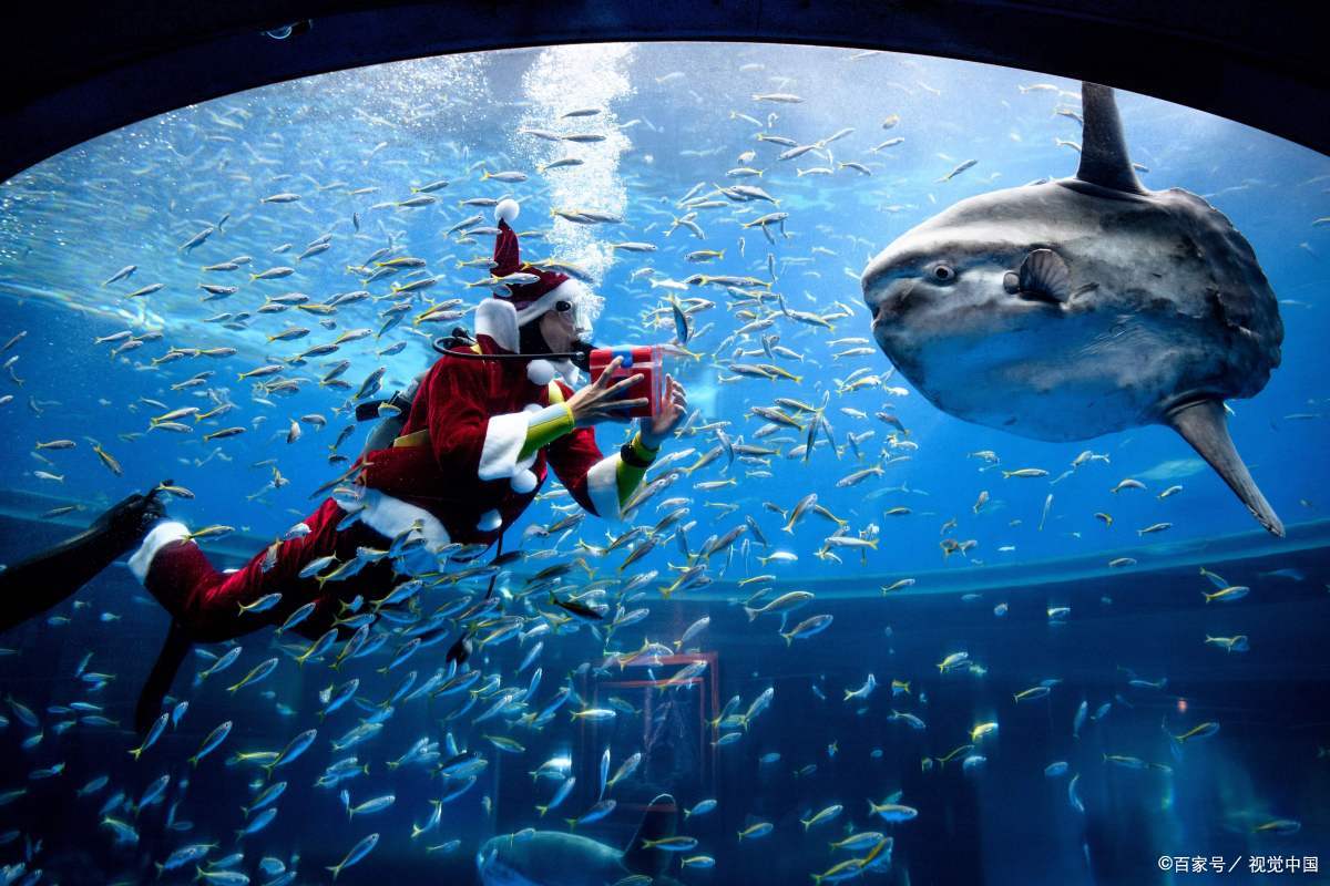 鼓浪屿旅游住宿省钱攻略,鼓浪屿旅游攻略住宿价格