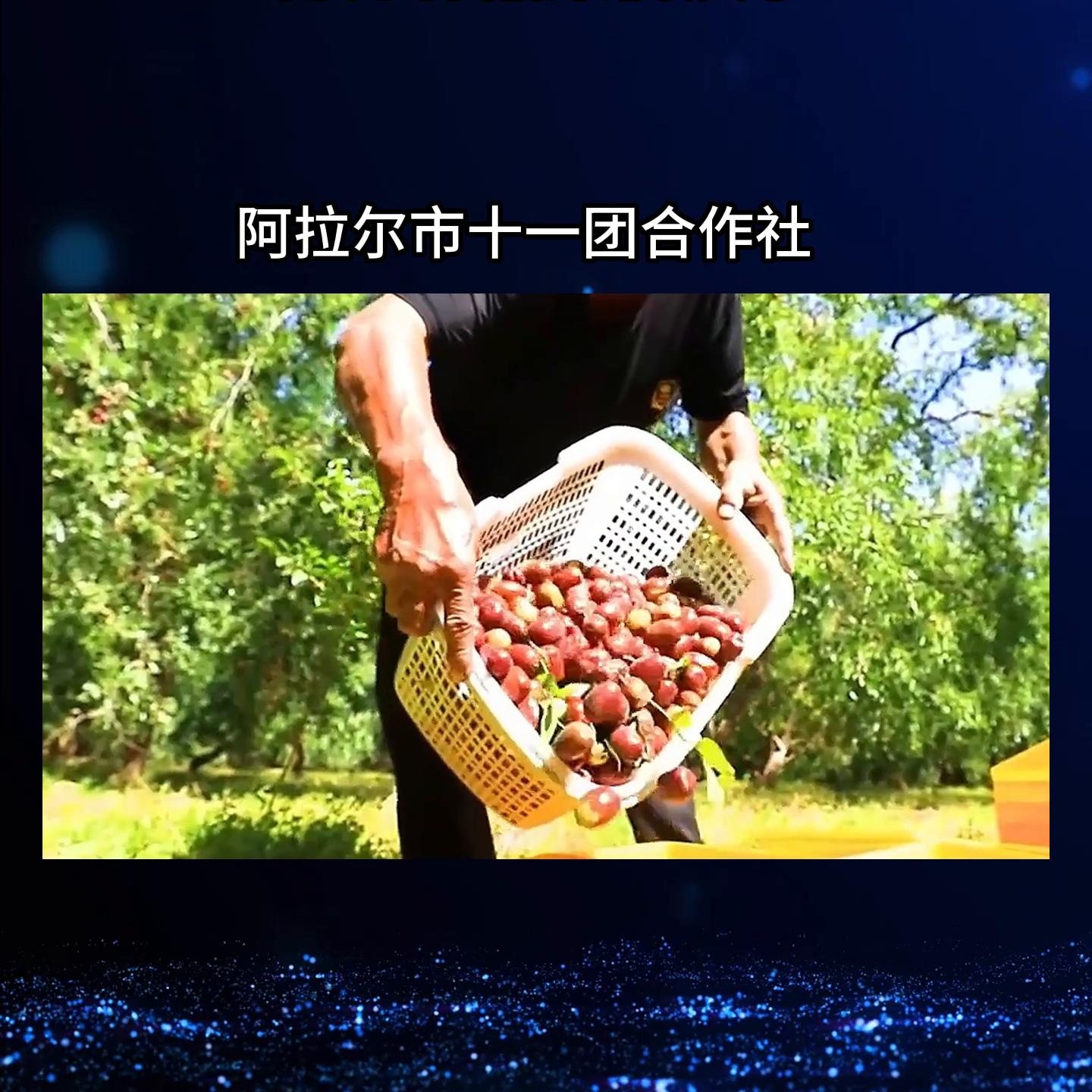 七彩色传媒有限公司,部分案例作品,欢迎9业务洽谈合作#宣传片