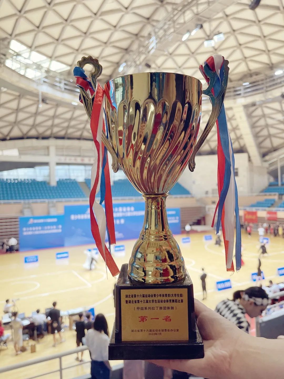 湖北拿过顶级联赛冠军吗 (湖北地区赛冠军排名回放)