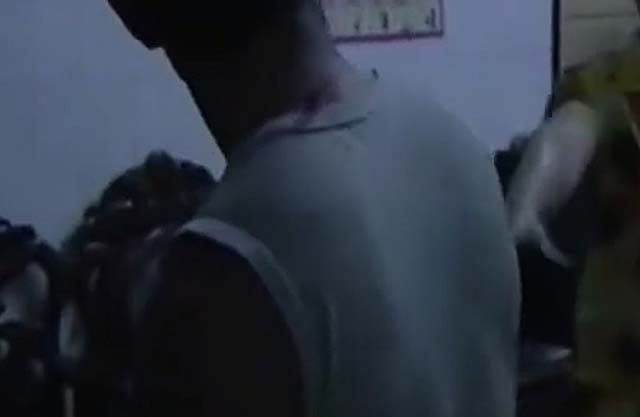 96年海南巨蟒为报恩甘愿当保姆,巨蟒为报恩守护十几年