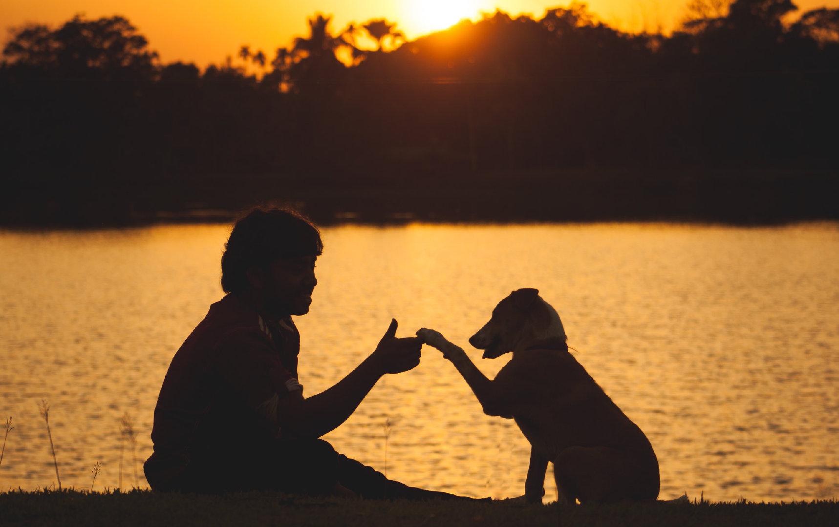学习笔记2022-8-17