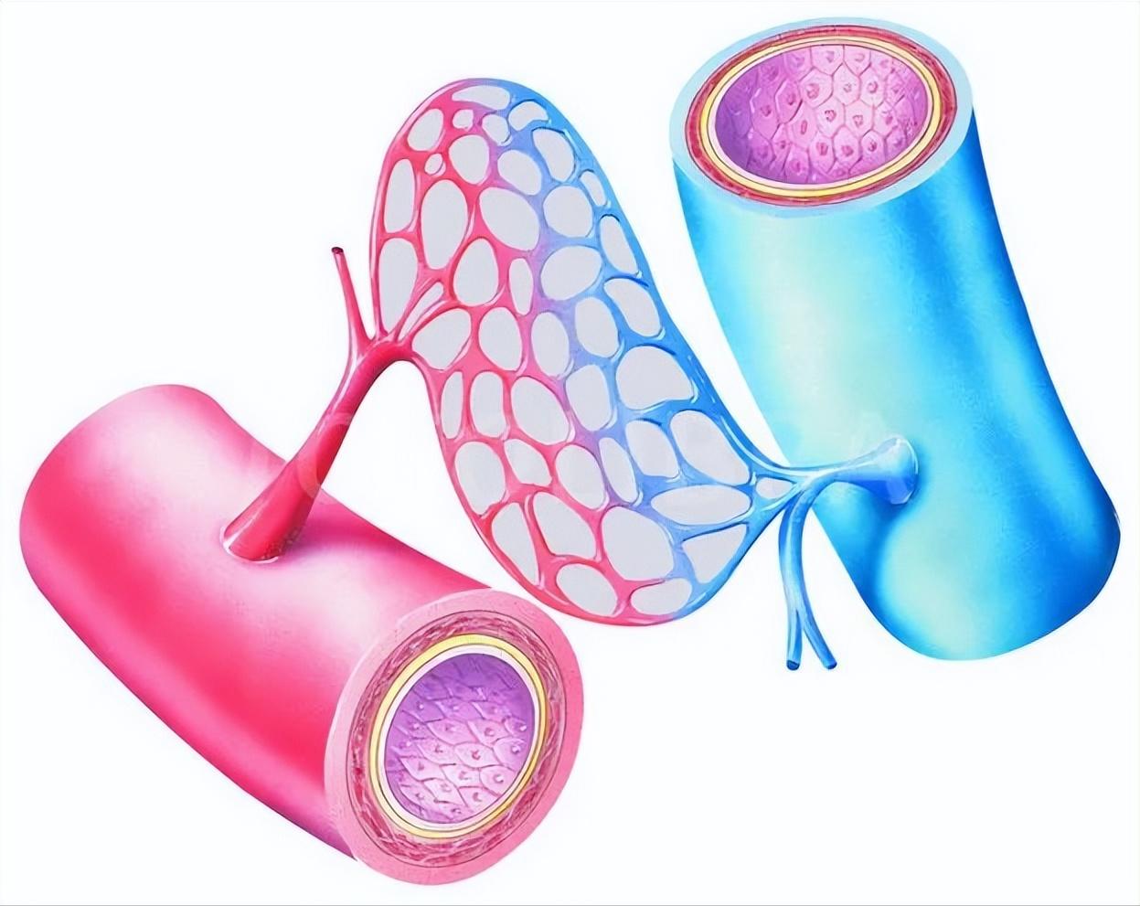 胰岛素都有什么作用,胰岛素的作用与危害论文