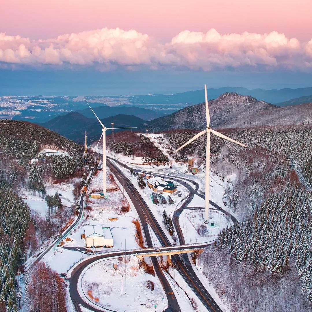 抢不到冰墩墩是什么梗,冬奥会冰墩墩2022