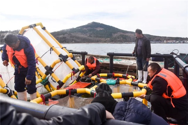 威海蓝碳示范,威海兰炭交易