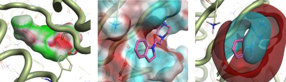 生物学是什么时候开始学习,生物学研究生就业前景如何