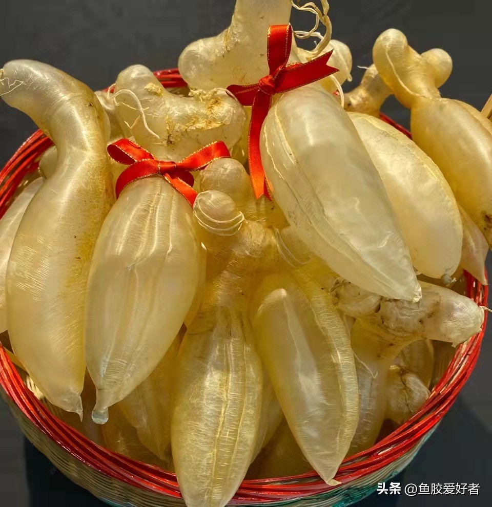 即食鱼胶怎么吃最好,鱼胶怎么吃视频