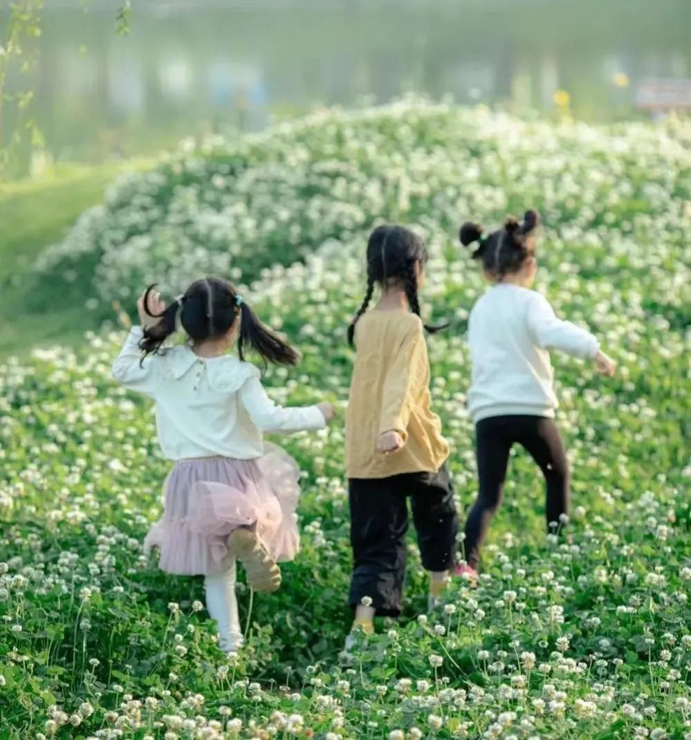 疫情过后欢迎您来甘肃青海旅游,疫情过后欢迎您的到来