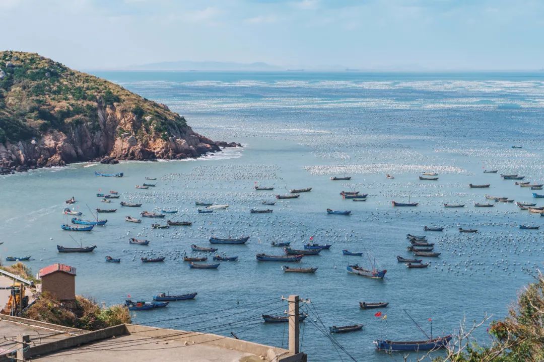 真吃不下了,这个靠海吃海的小县城怎么就能这么好吃