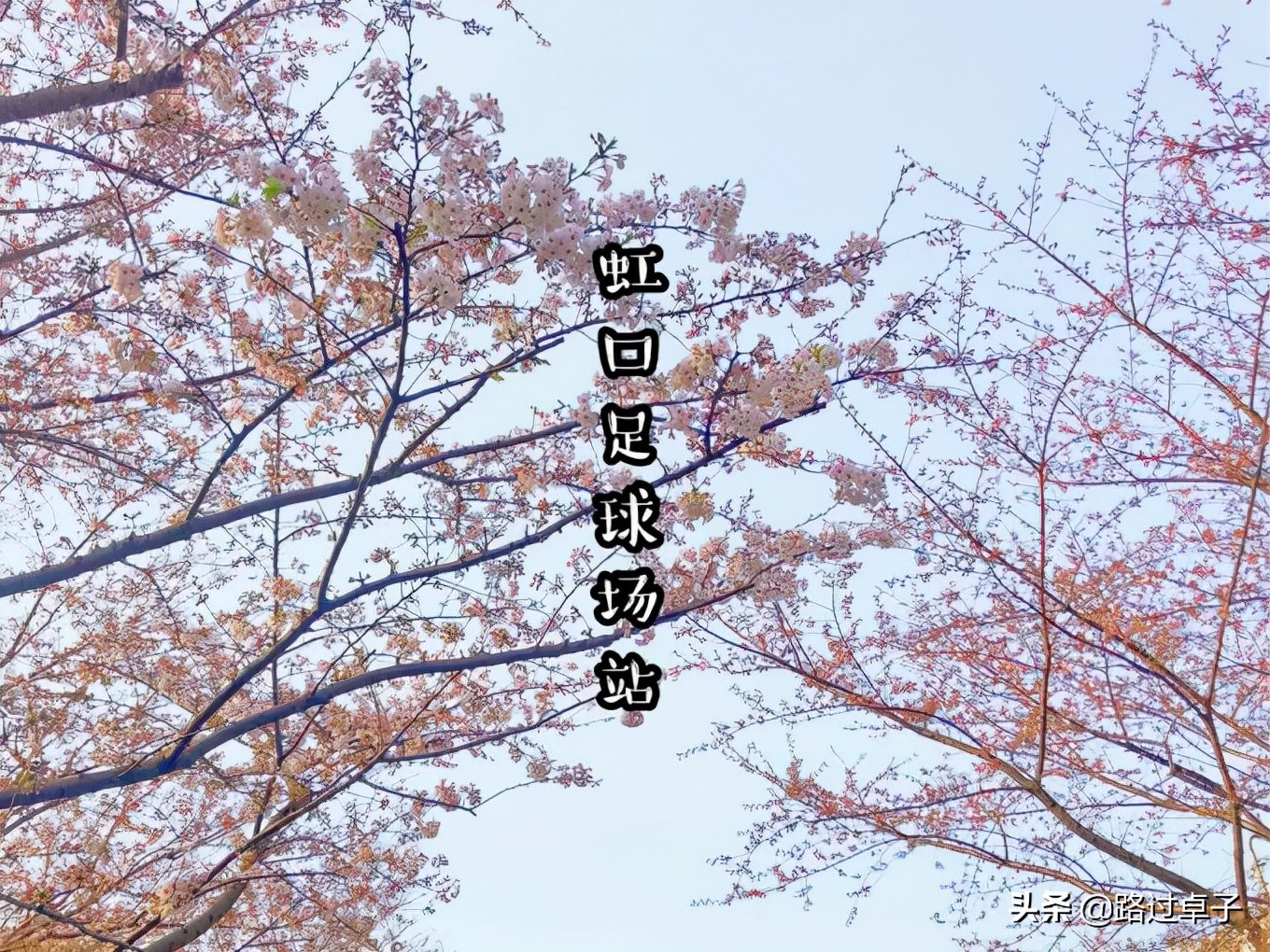 上海地铁旅游景点攻略,上海地铁打卡攻略