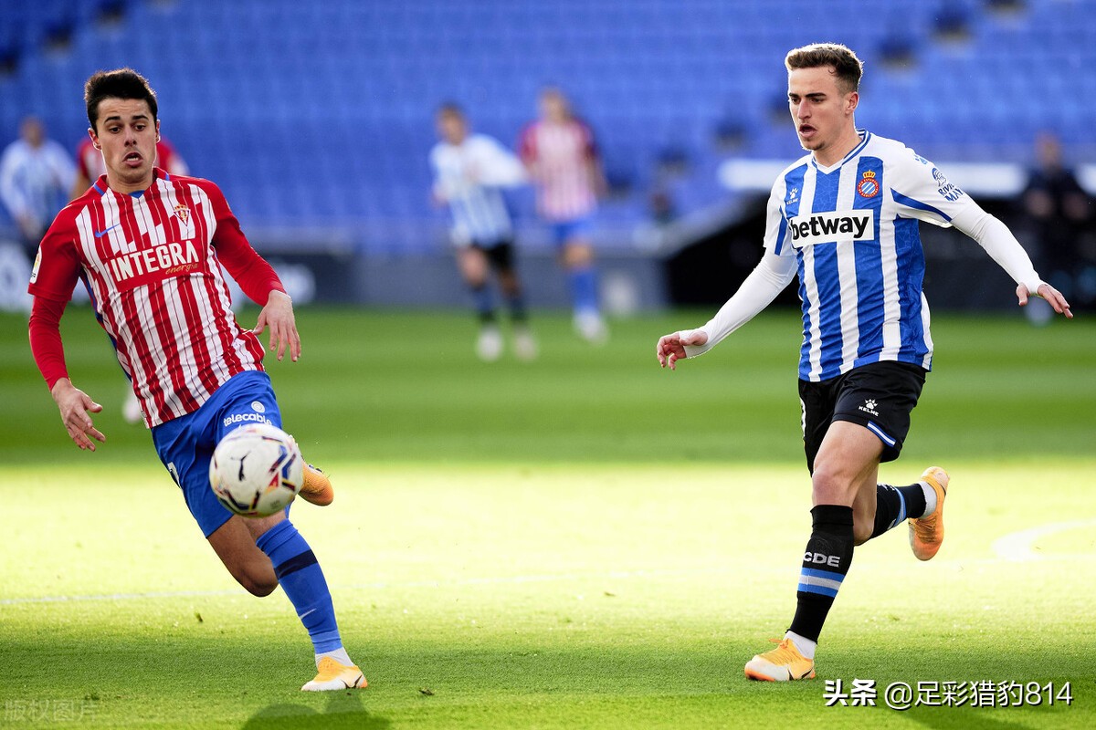 西乙荷乙英冠联赛今日比分预测,荷乙西甲最新比赛