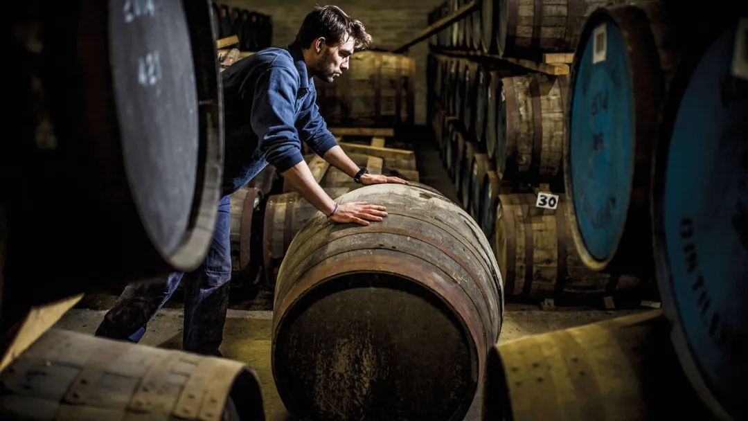 猪头桶有什么用,猪头桶介绍