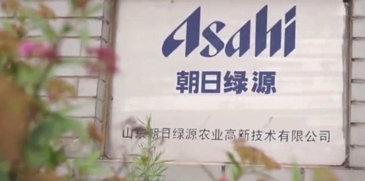 日本人在山东租了1500亩地,日本人在山东租地1500亩现状