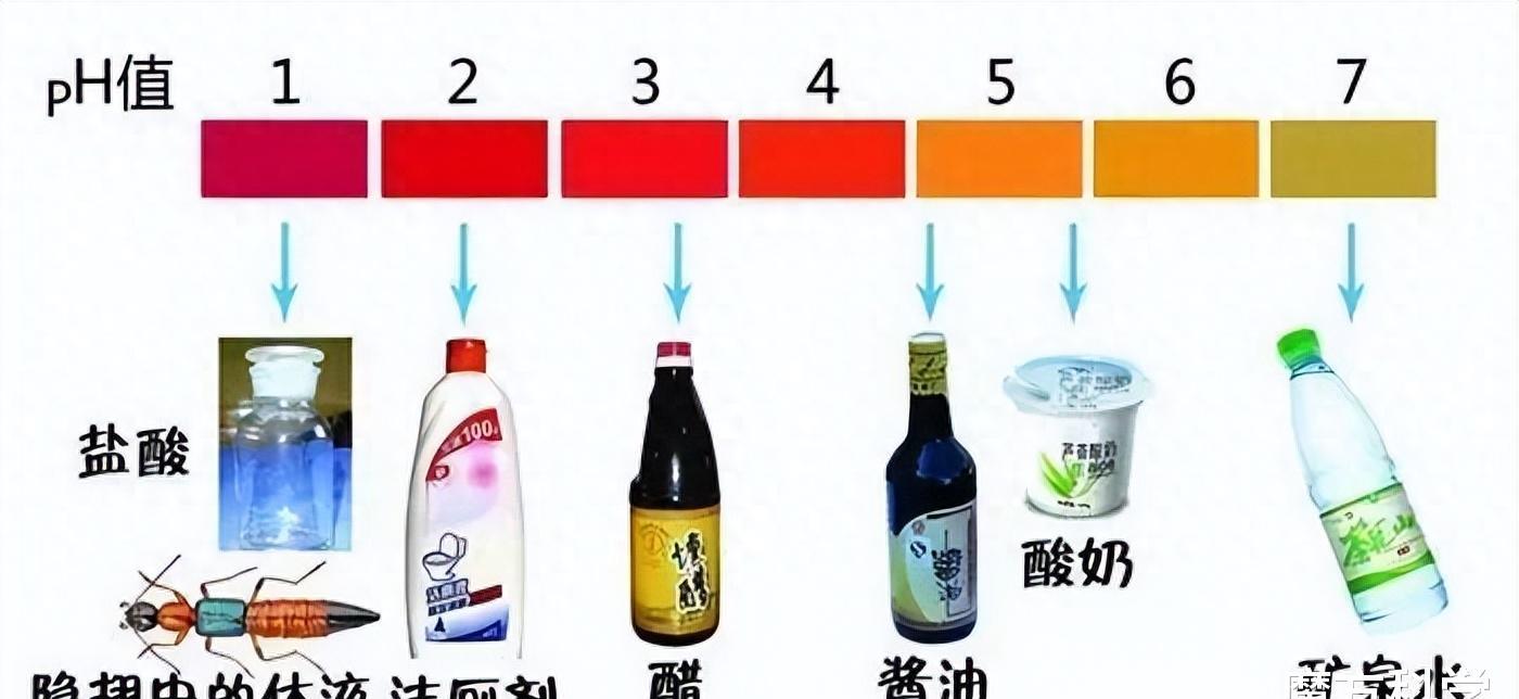 硫酸虫咬了怎么处理,硫酸虫导致皮肤损伤处理