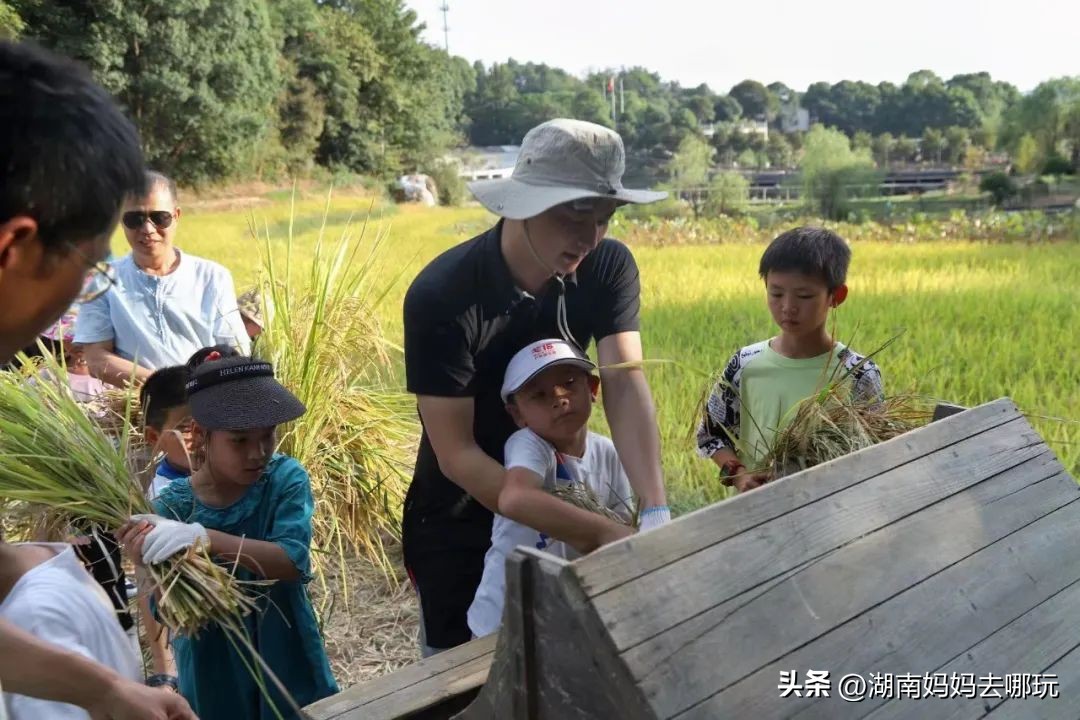 湖南五一宝藏遛娃地推荐,湖南宝藏小众秘境