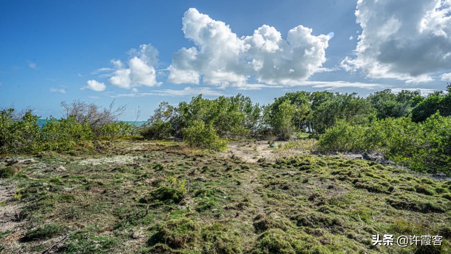 世外桃源真正背后历史,世外桃源的真实事件
