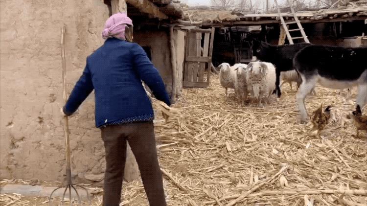 58天，我们见证了一部冷门片的逆袭