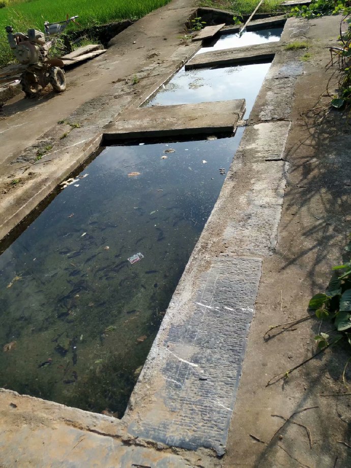 郴乐古道之水头江宜乐古道--广东省乐昌市庆云镇