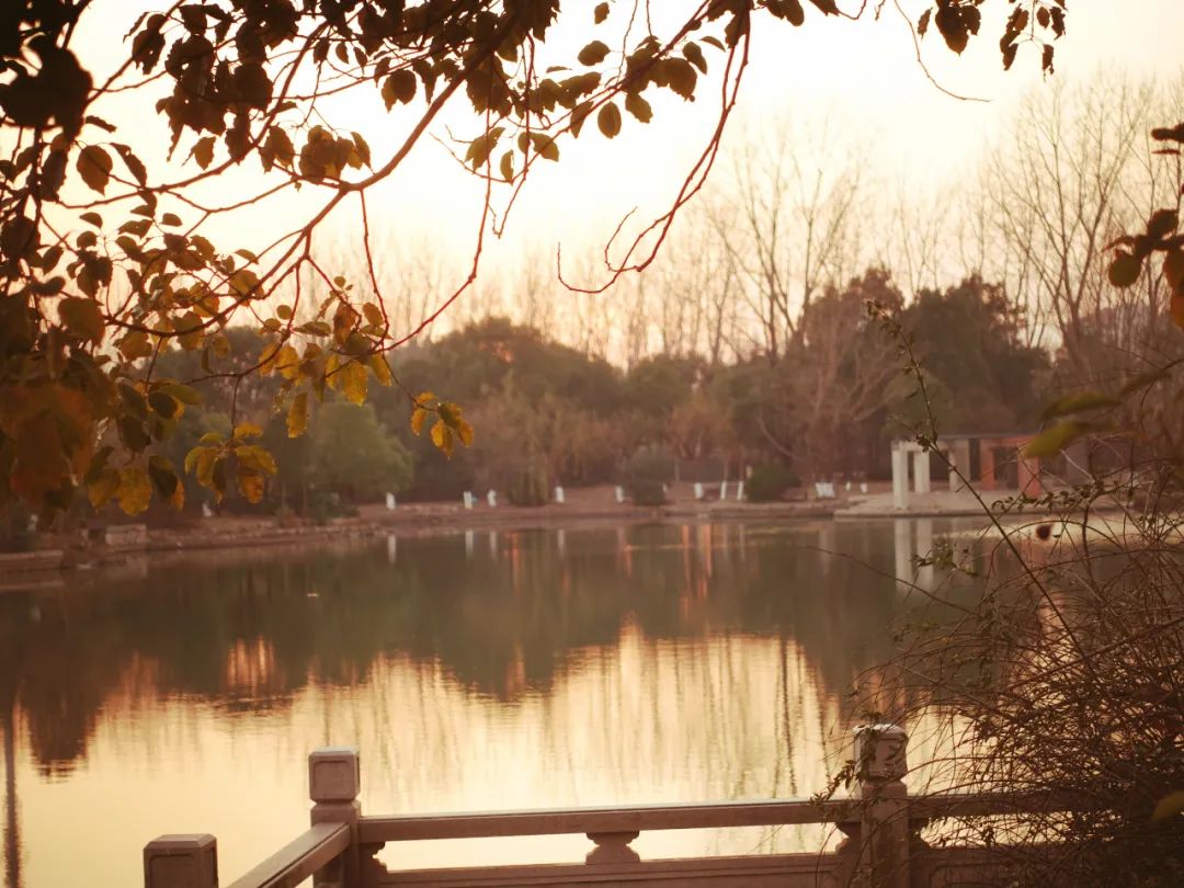 最经典秋日古诗,唐诗三百首和古诗十九首