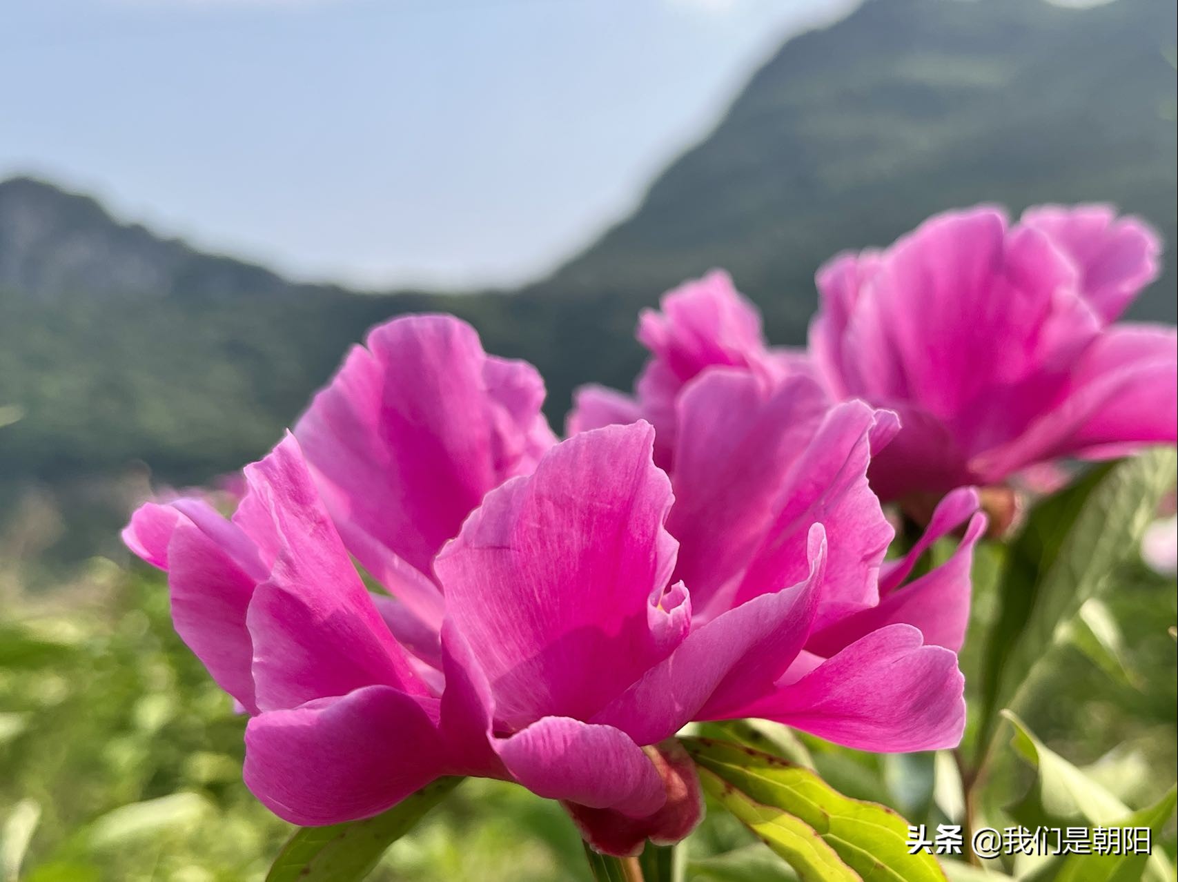九嶷河国家湿地公园在哪里,九嶷河湿地公园