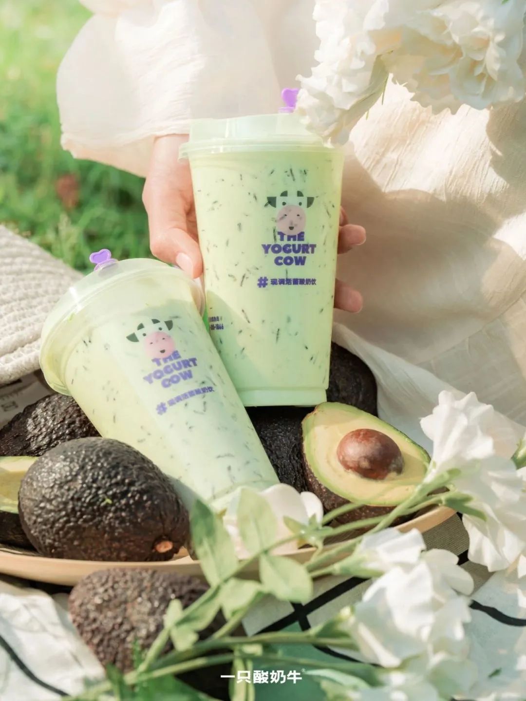 成都连锁加盟品牌前十名,连锁品牌进驻四川