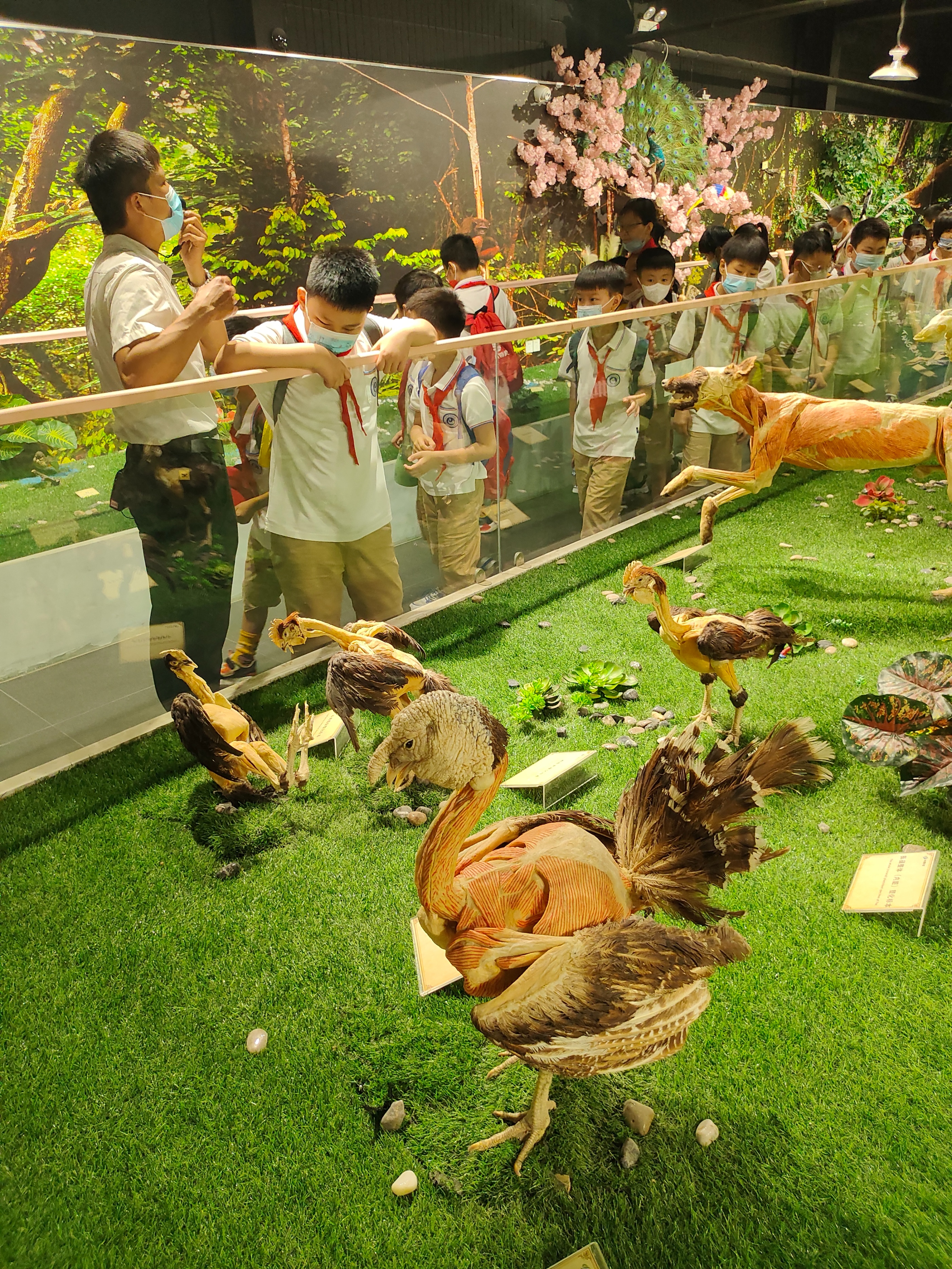 郑州带孩子一日游旅游攻略,郑州一日游旅游攻略带孩子