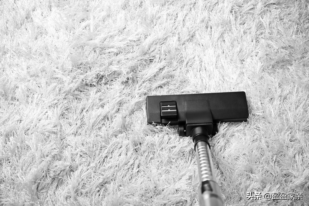 鄢陵县地毯保养,地毯的保养方法