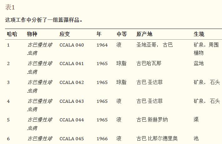 蓝藻球菌的完整细胞MALDI-TOF质谱分析，用于分类和鉴定标记蛋白