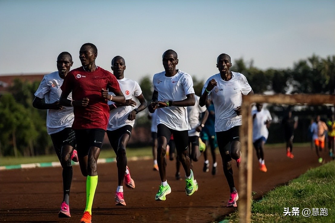 从小白到职业健身选手,从小白到健身一年的变化