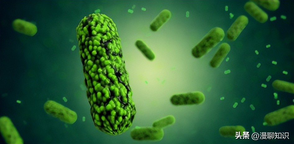 益生菌与致病菌的竞争结合位点有哪些？如何抑制它的生长？