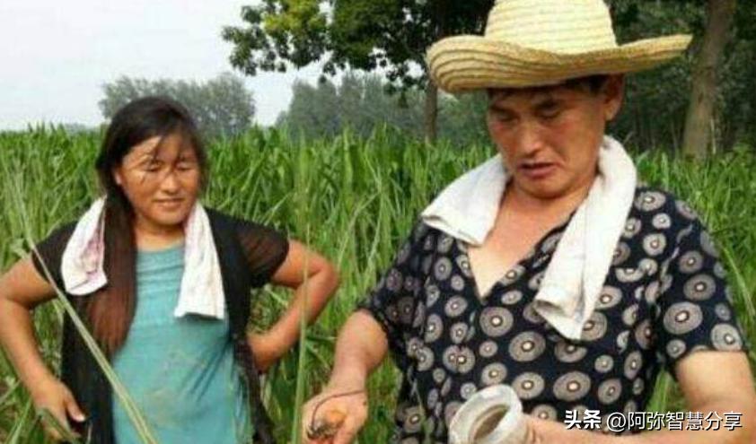 母亲节，陈萌买表送婆婆，得知价格，才知她为什么能赢陈亚男！