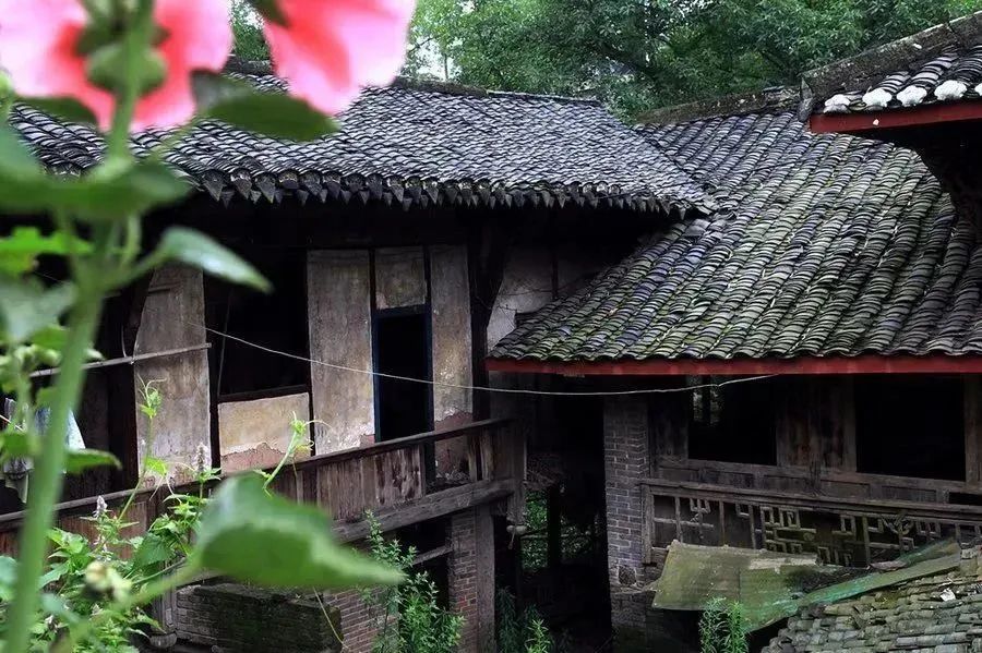 閫旇繙闆嗗洟瀹樼綉,閫旇繙闆嗗洟